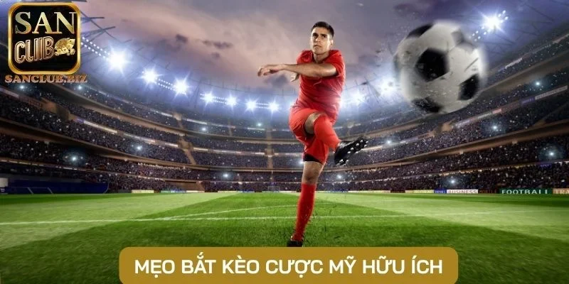 Mẹo bắt kèo cược Mỹ hữu ích