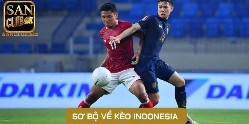 Sơ bộ về kèo Indonesia 